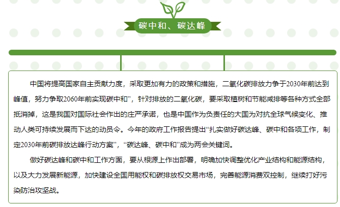 “碳中和、碳達峰”構建綠色、低碳、循環(huán)的可持續(xù)發(fā)展經(jīng)濟體系
