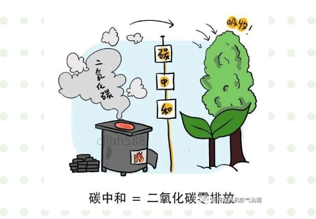 “碳中和、碳達峰”構建綠色、低碳、循環(huán)的可持續(xù)發(fā)展經(jīng)濟體系